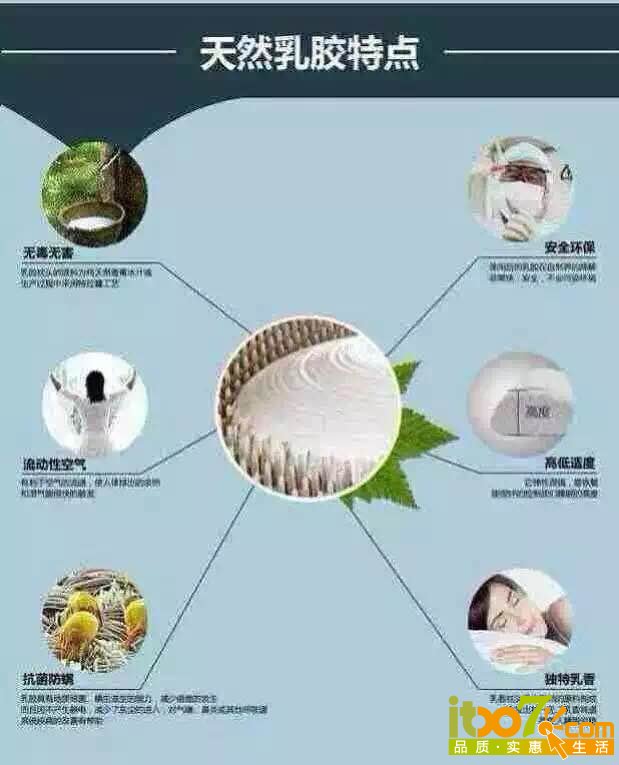 乳胶枕28.jpg