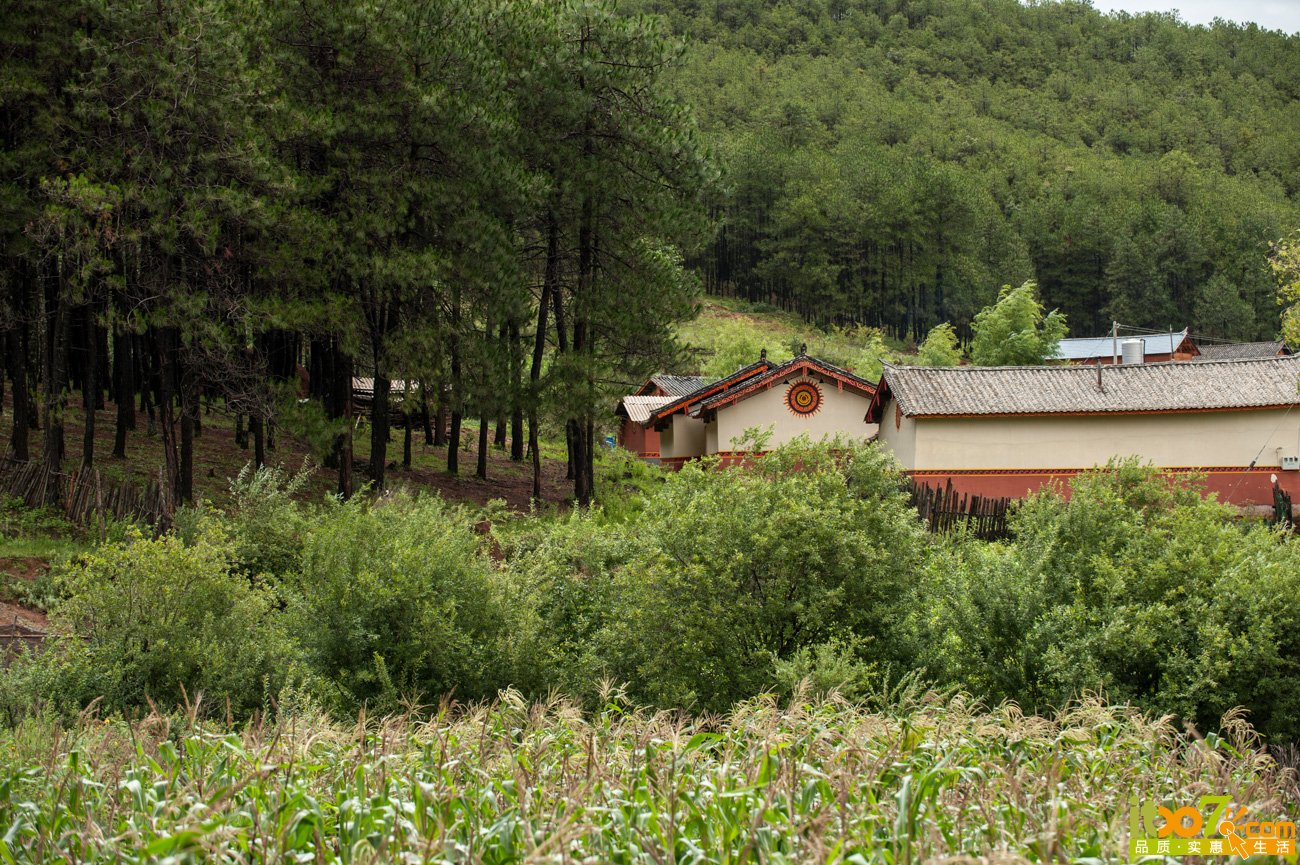DSC_8771.jpg