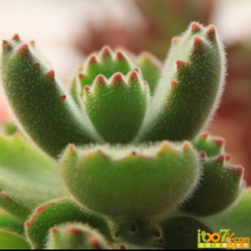 20121214161109_EFfrT.jpg