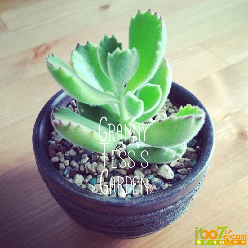 20140919192409_USUMj.jpg