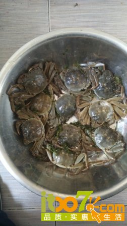 头天订第二天到的螃蟹
