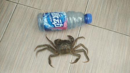 尺寸请自行对比