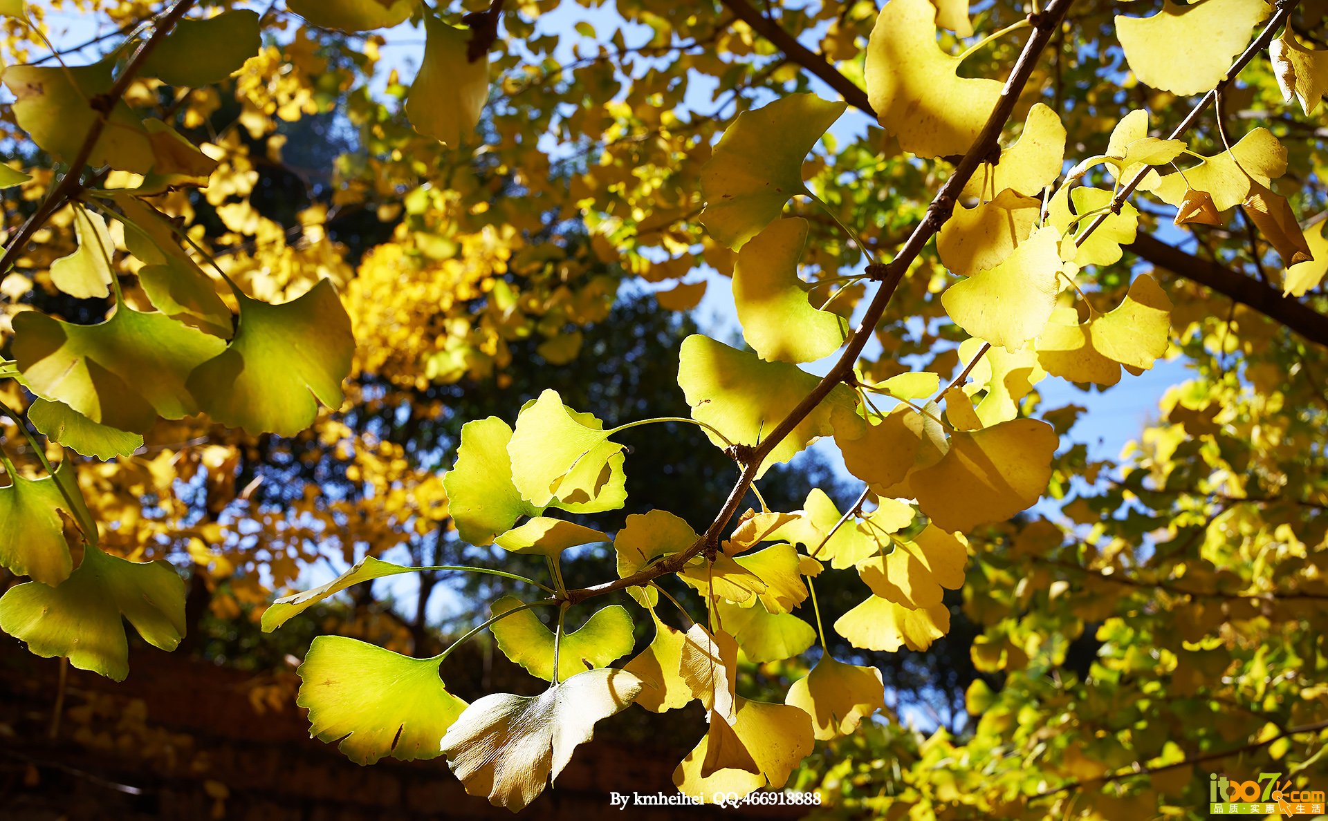 DSC08473.jpg