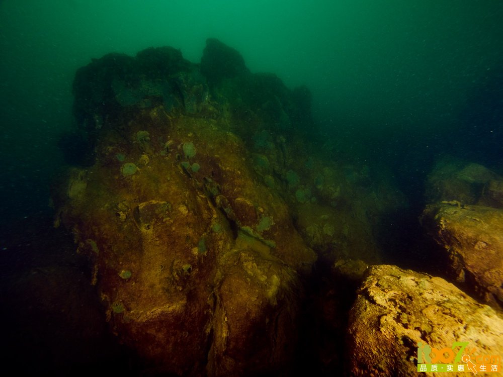 PA250064.jpg