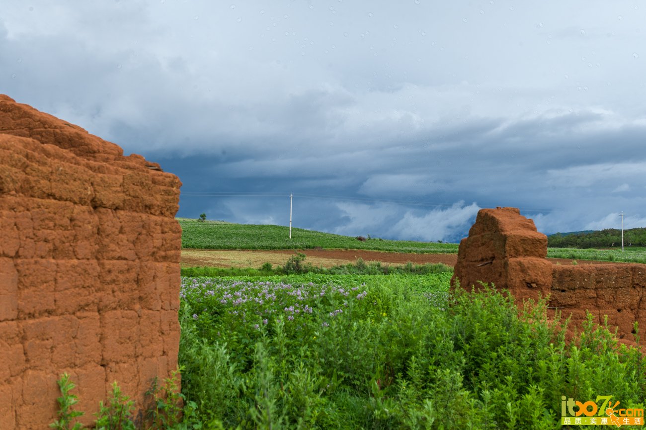 L1011869.jpg