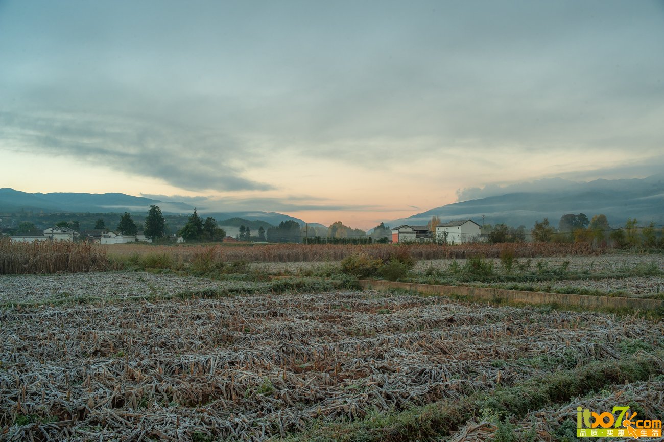 DSC_0408.jpg