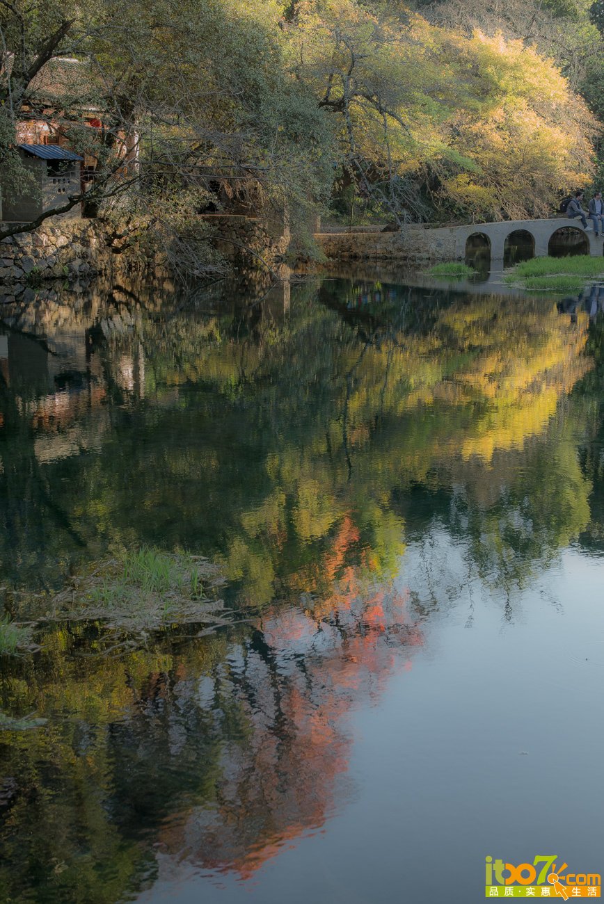 L1009025.jpg