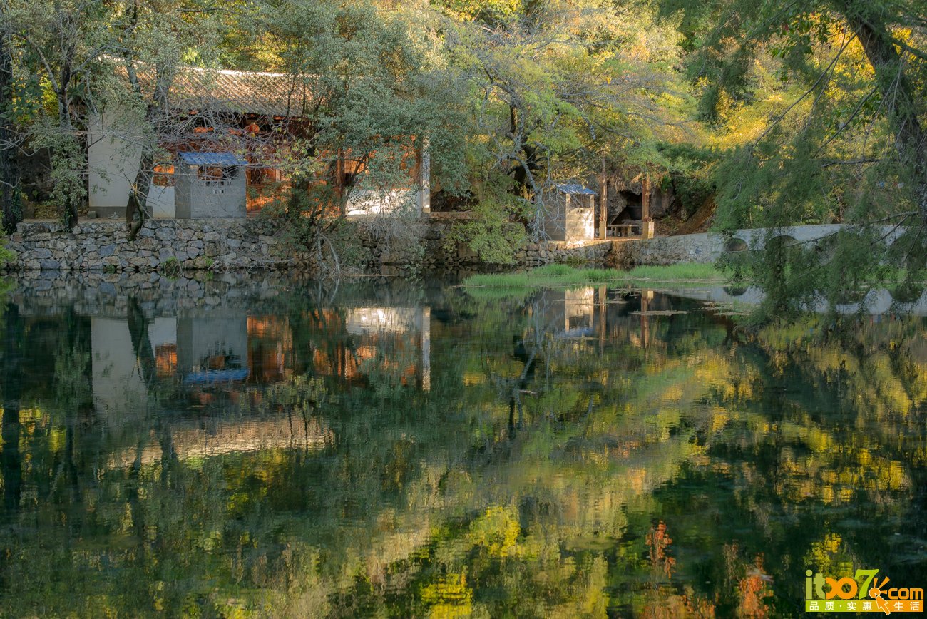 L1009052.jpg