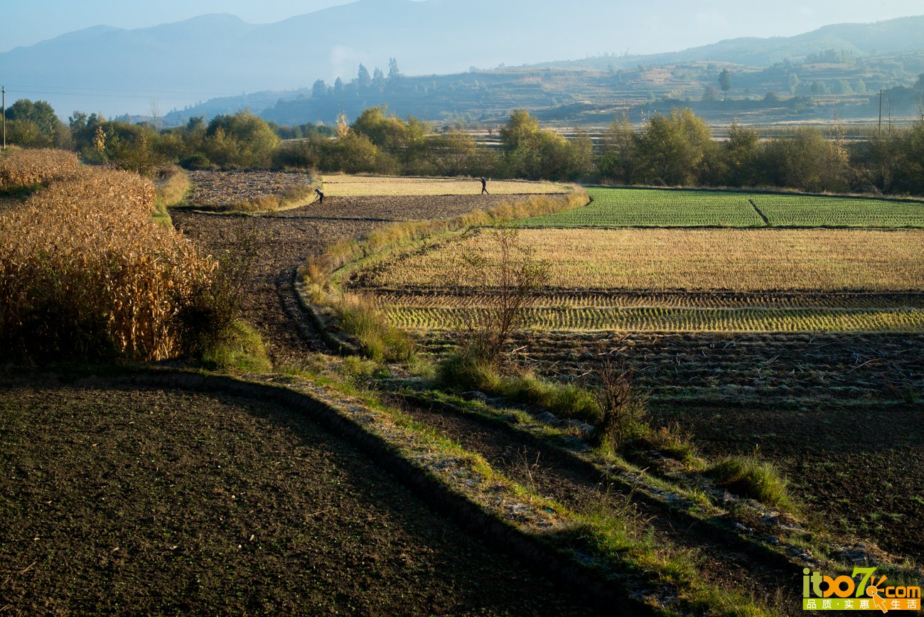 L1009097.jpg
