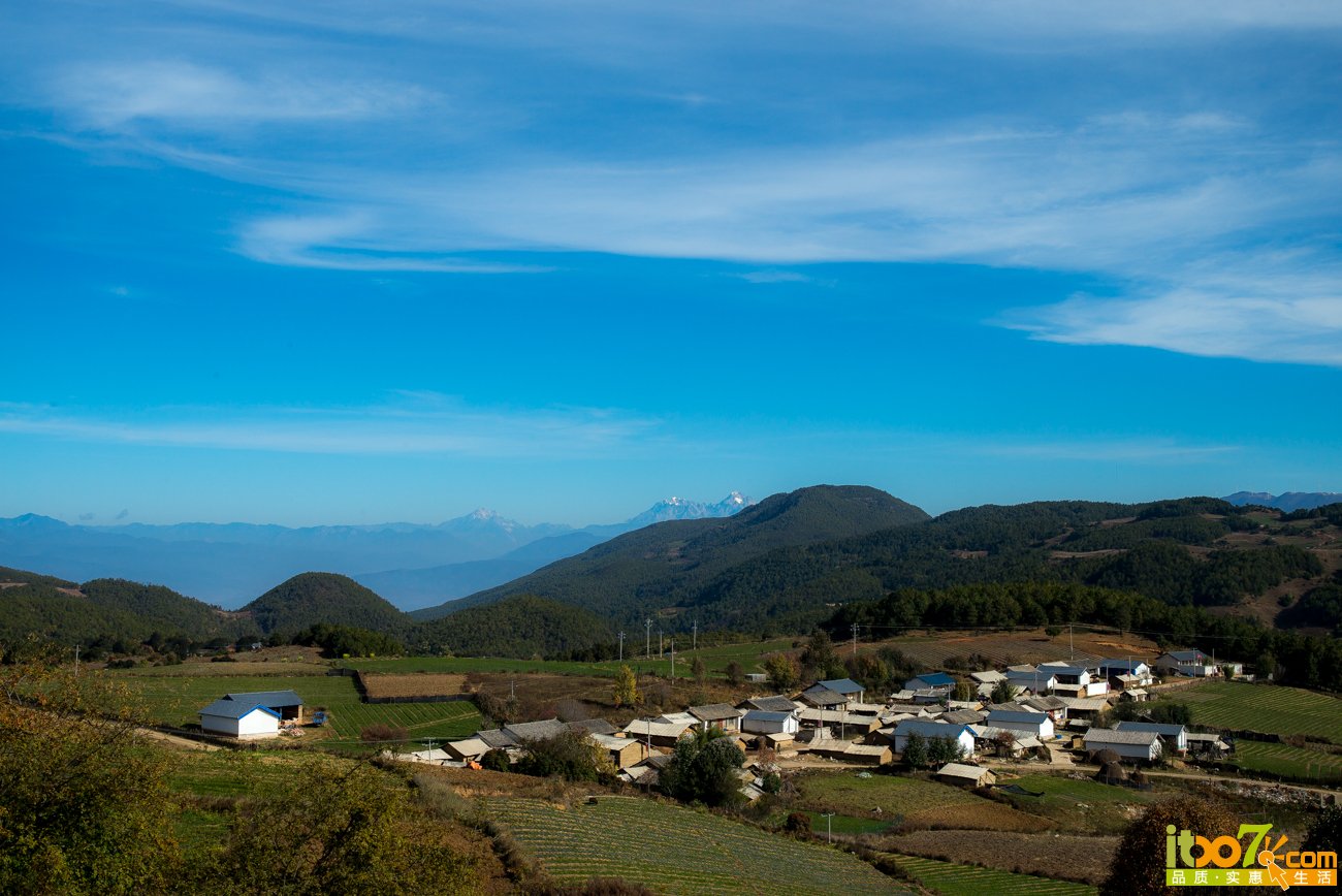 L1009408.jpg