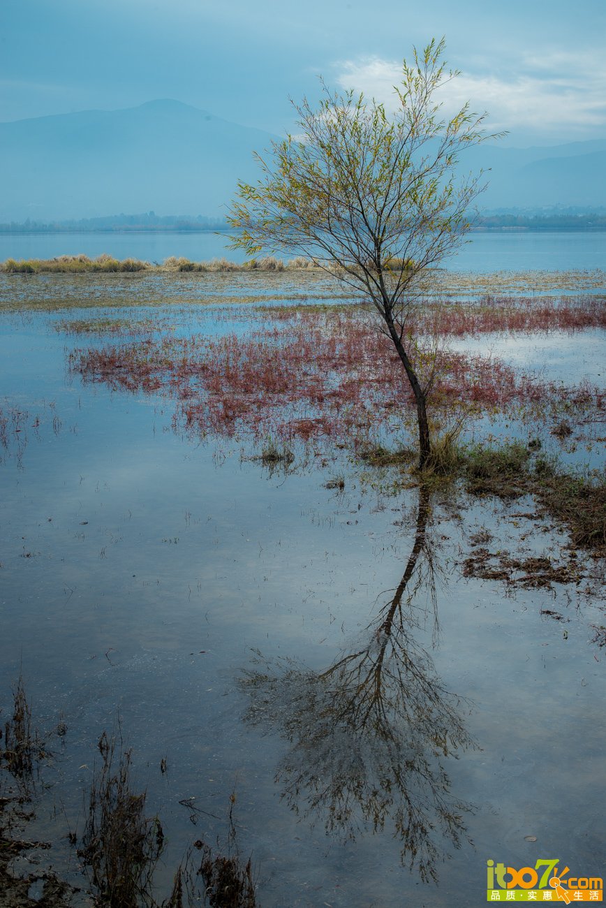 L1009416.jpg