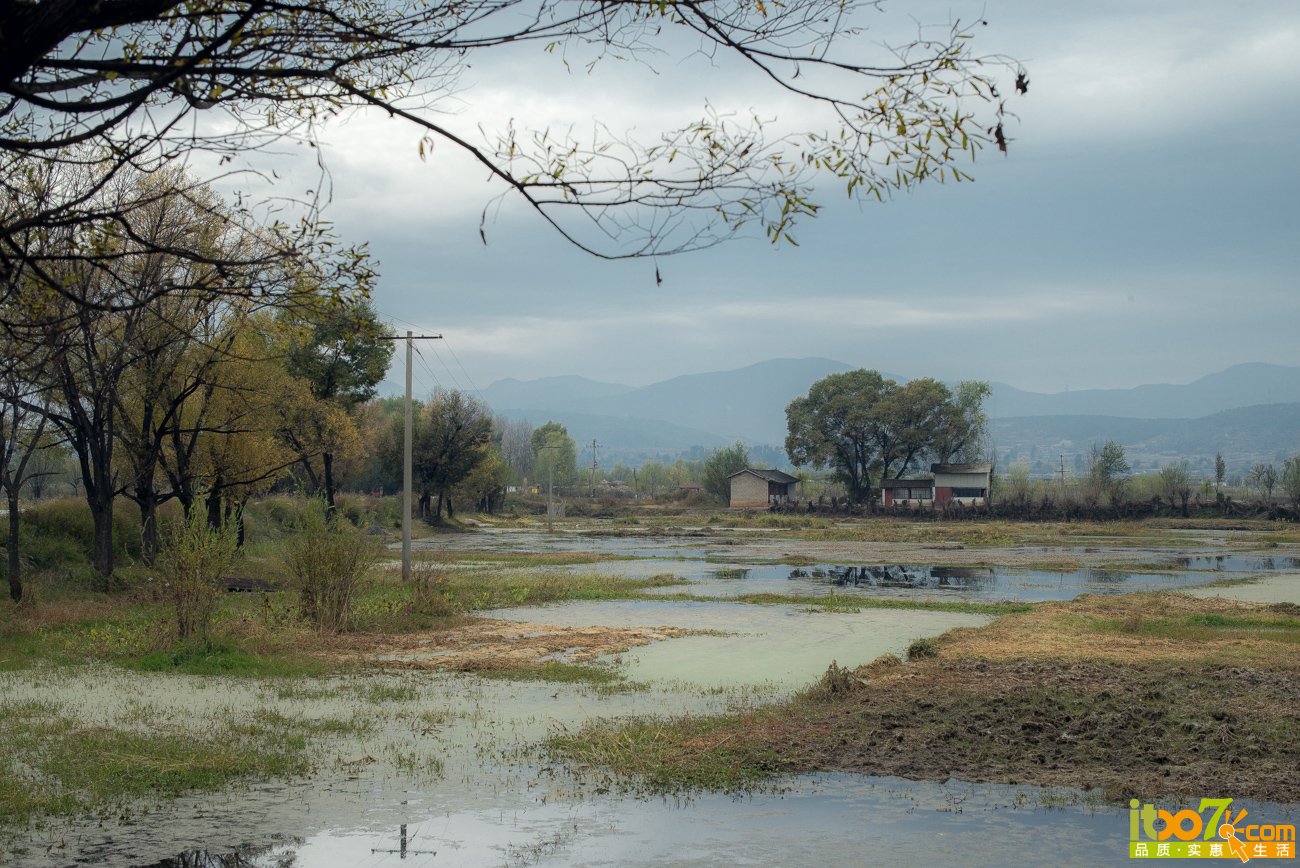L1009468.jpg