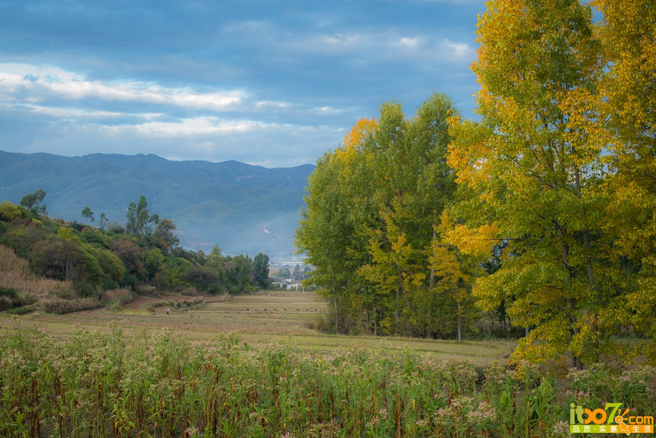 L1009490.jpg