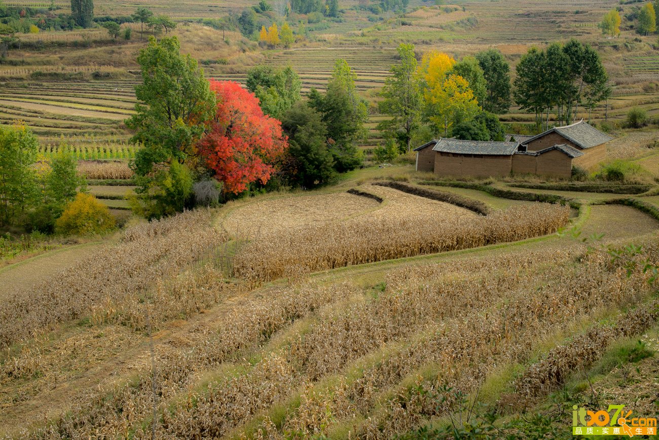 L1009583.jpg