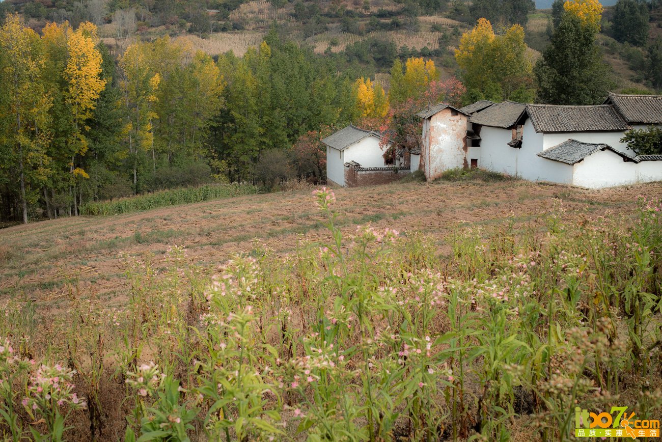 L1009570.jpg