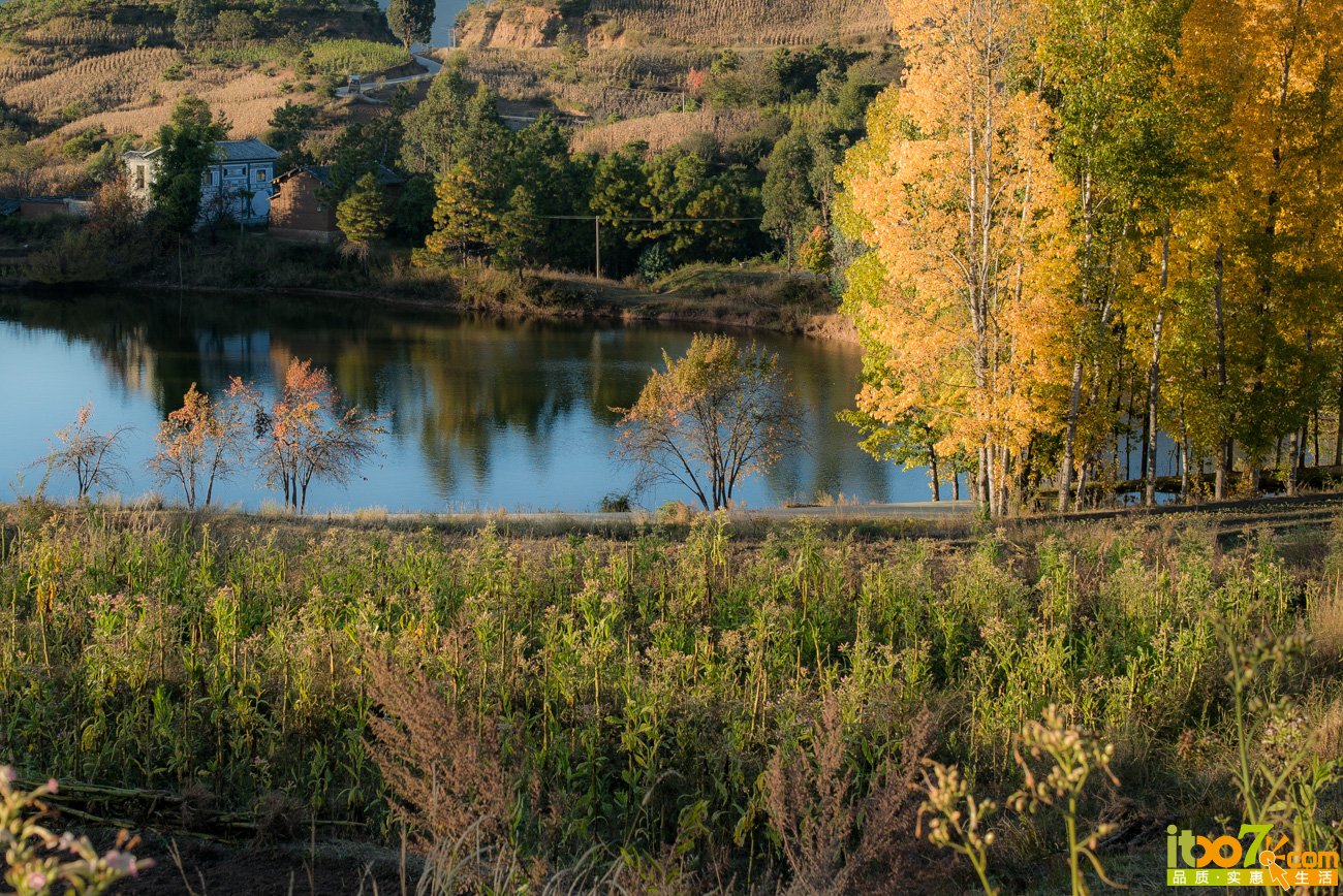L1009628.jpg