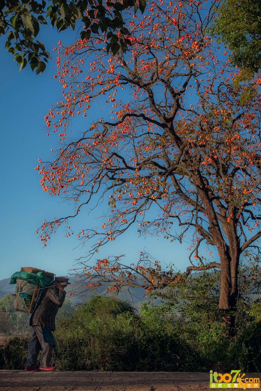 L1009656.jpg
