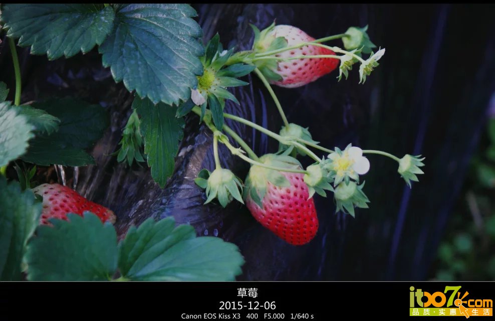 psb (1).jpg