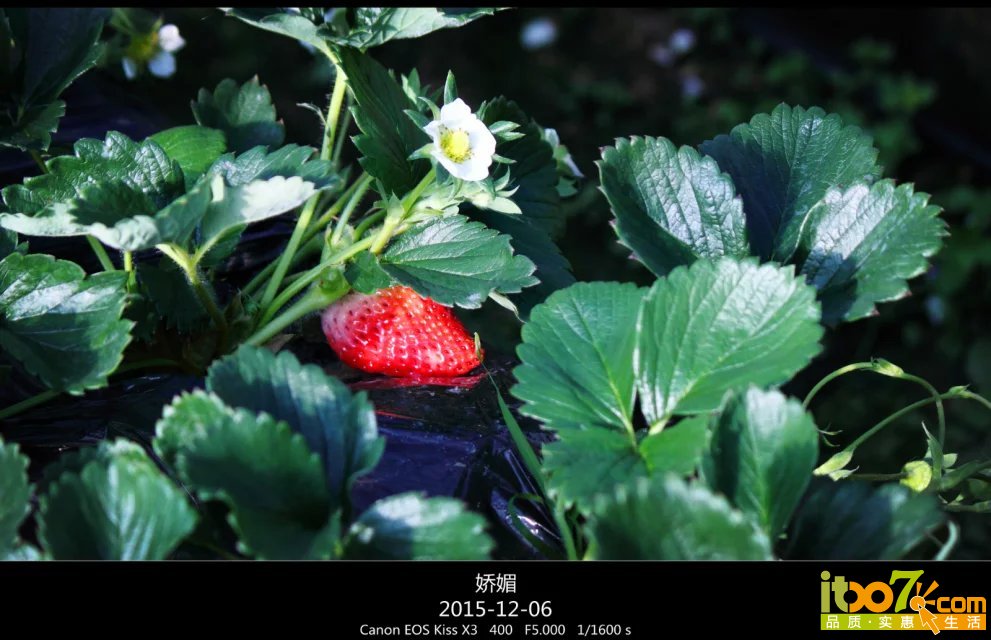 psb (3).jpg
