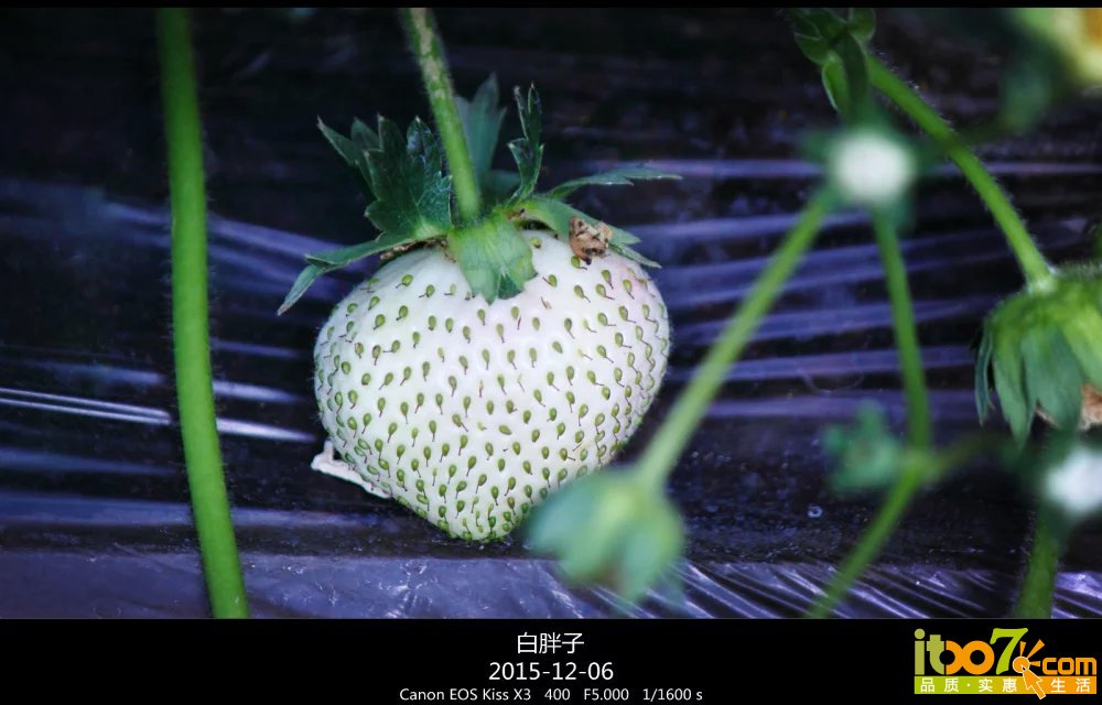 psb (5).jpg