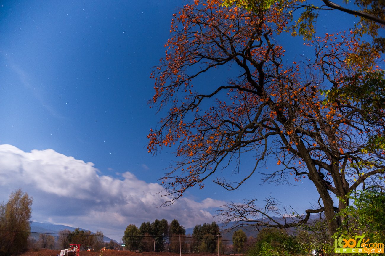 DSC_0957.jpg