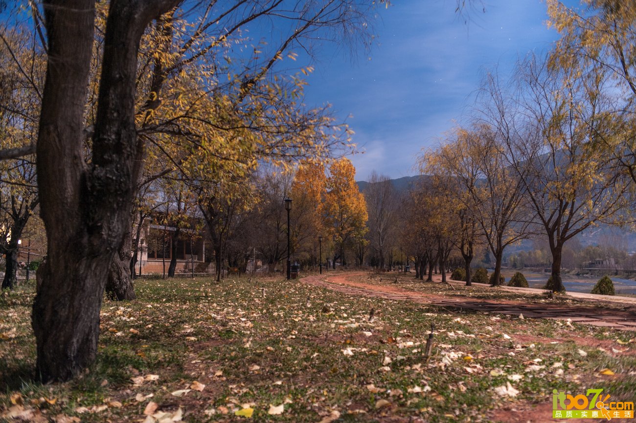 DSC_0967.jpg