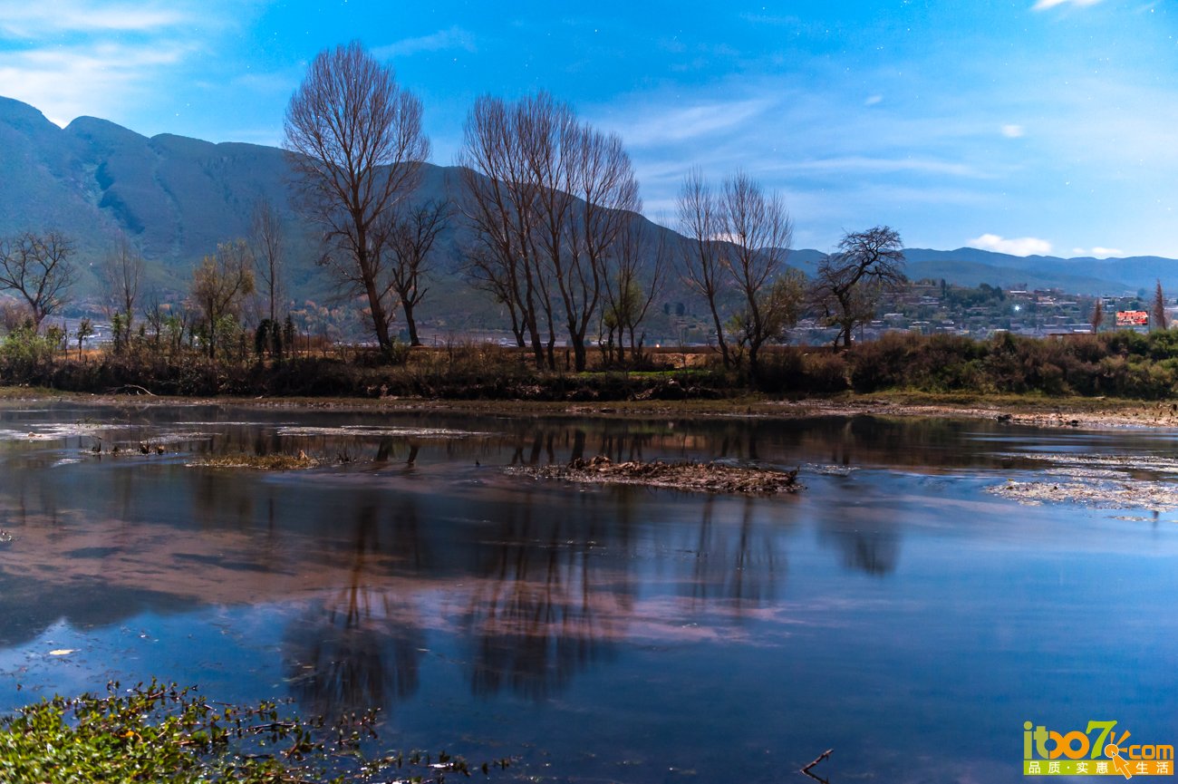 DSC_0978.jpg