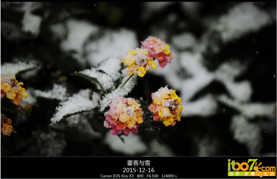 QQ截图20151217090628.png