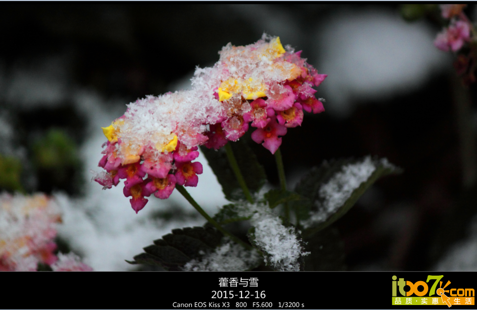 QQ截图20151217090701.png