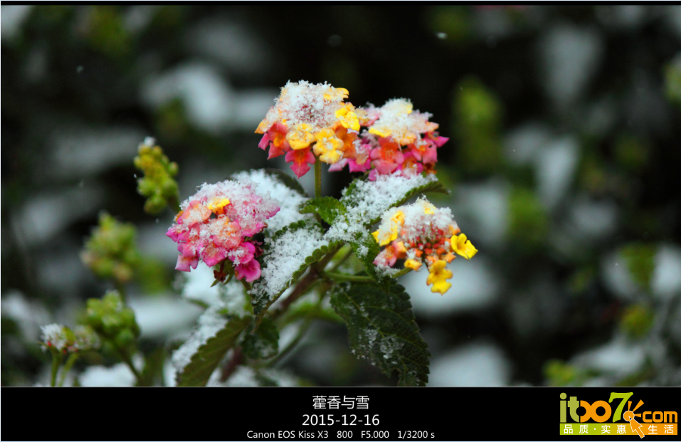 QQ截图20151217090713.png