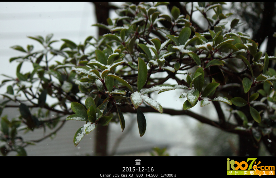 QQ截图20151217090726.png