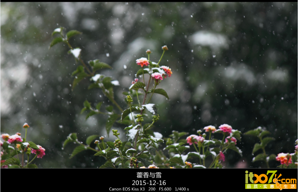 QQ截图20151217090755.png