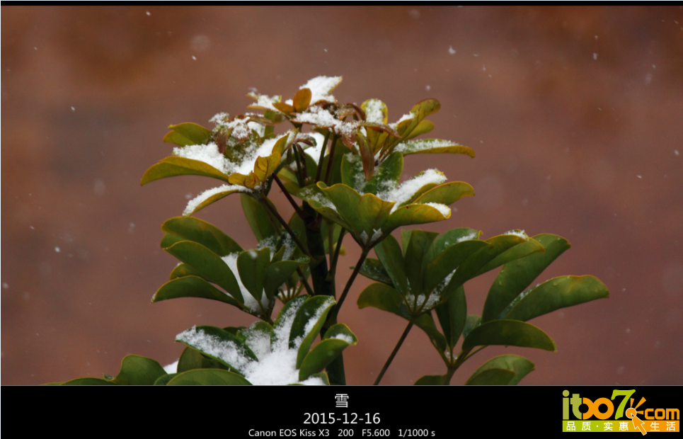 QQ截图20151217090808.png