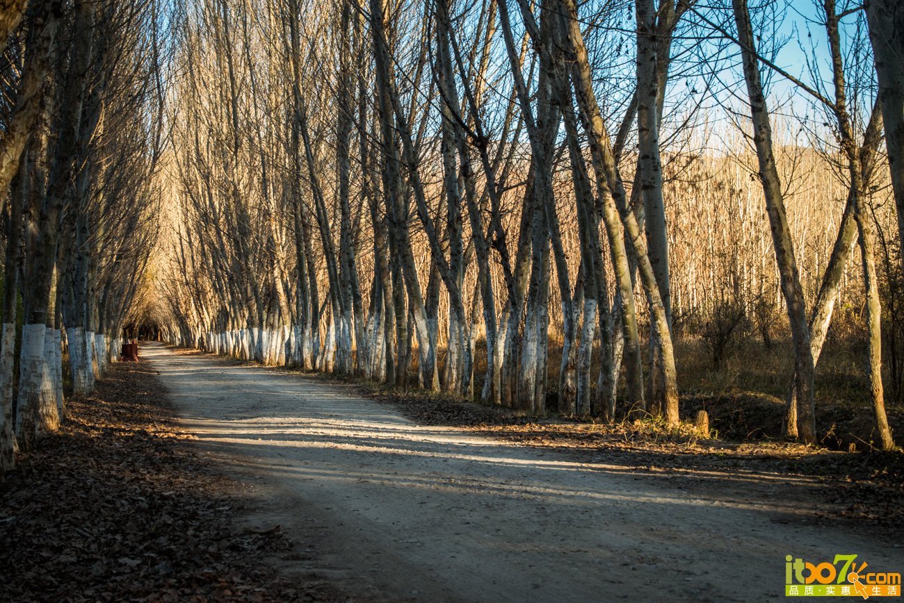 L1000817.jpg