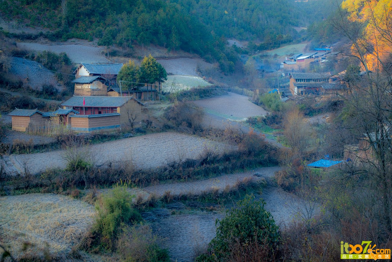 L1001162.jpg