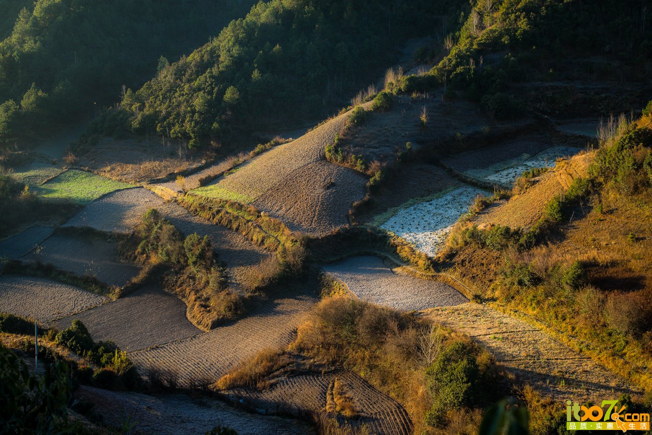 L1001189.jpg