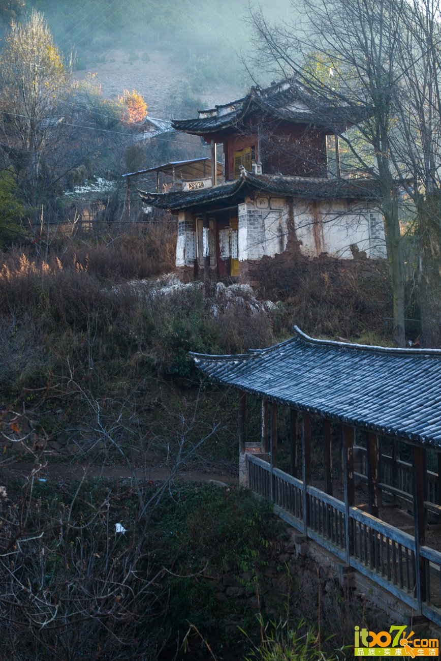 L1001228.jpg