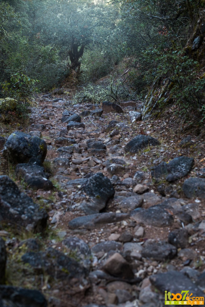 L1001867.jpg