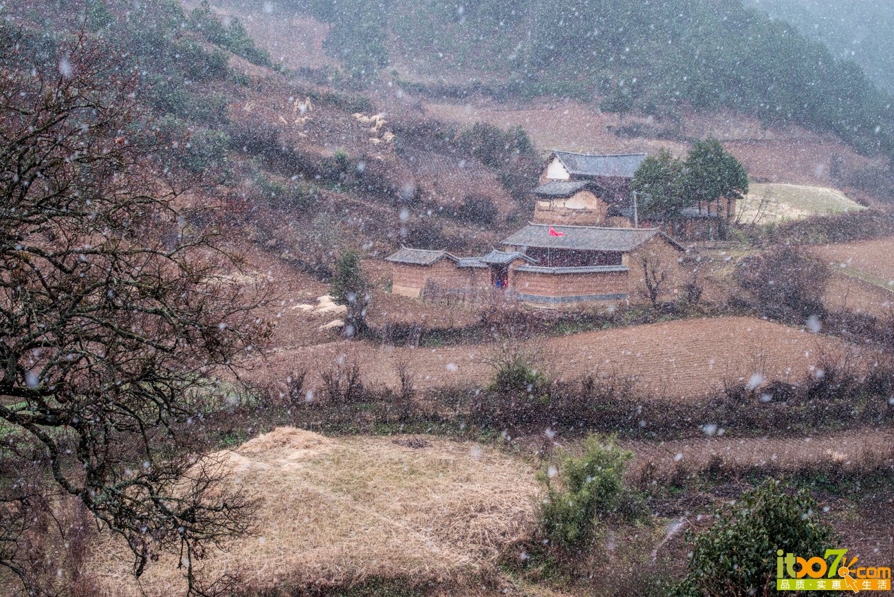 L1002451.jpg