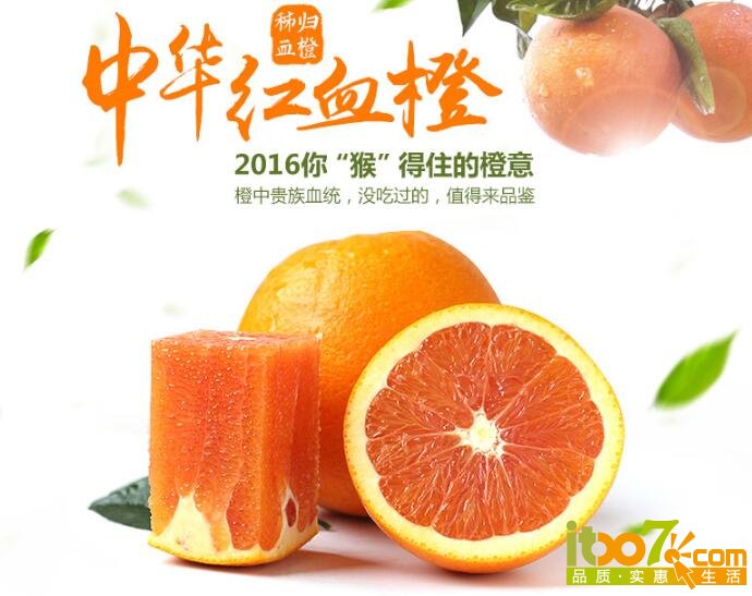 QQ截图20160106175858.jpg