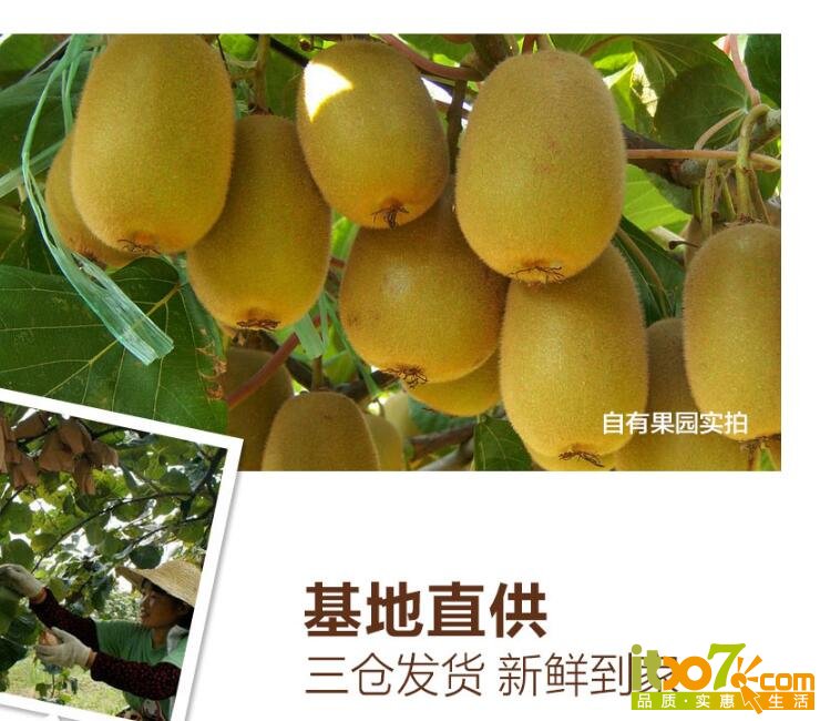 QQ截图20160108101924.jpg