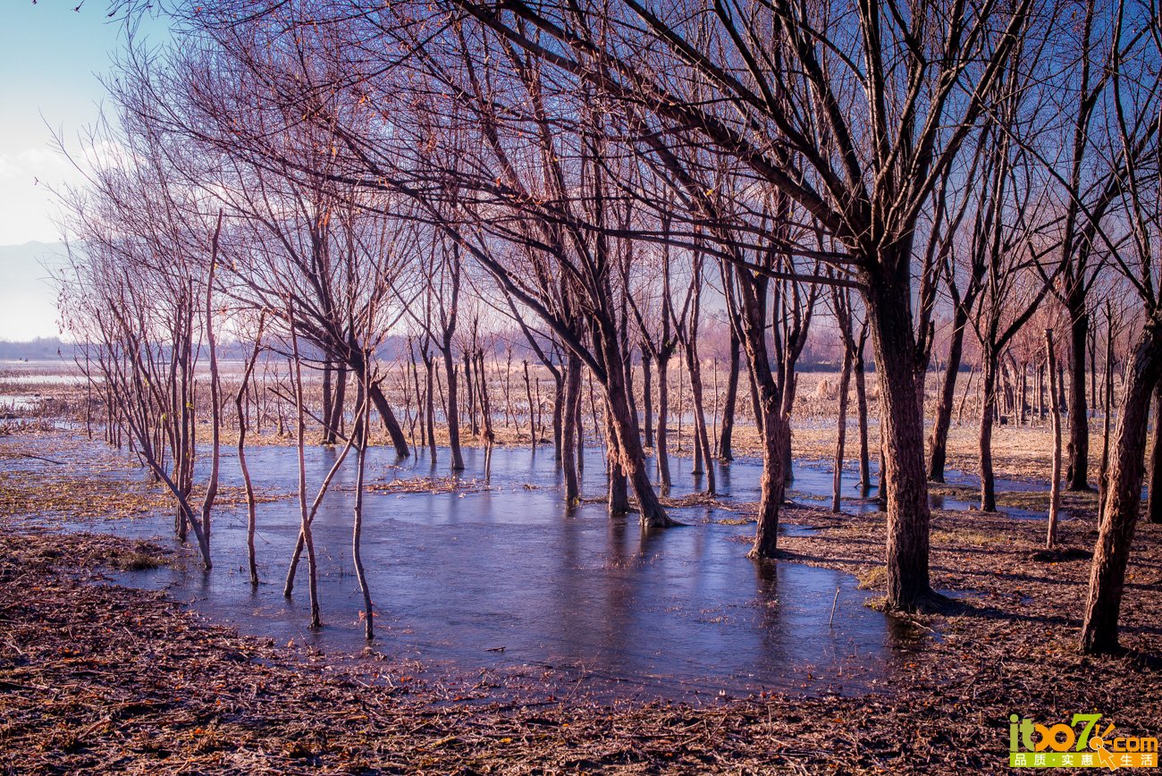 L1002755.jpg
