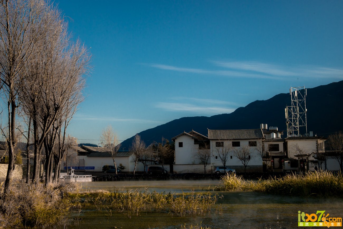L1002880.jpg