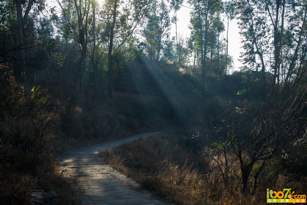 L1002912.jpg