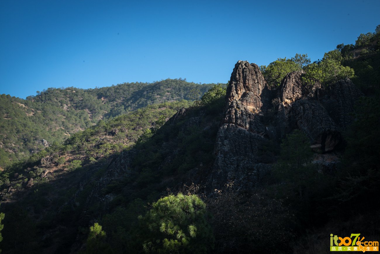 L1002943.jpg