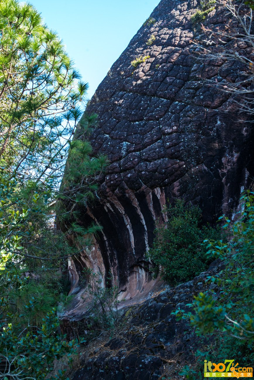 L1003004.jpg