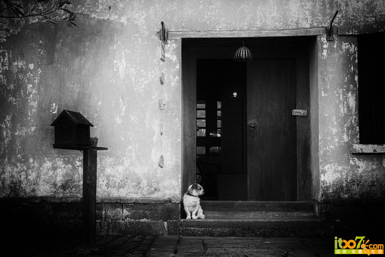 L1003115-编辑.jpg