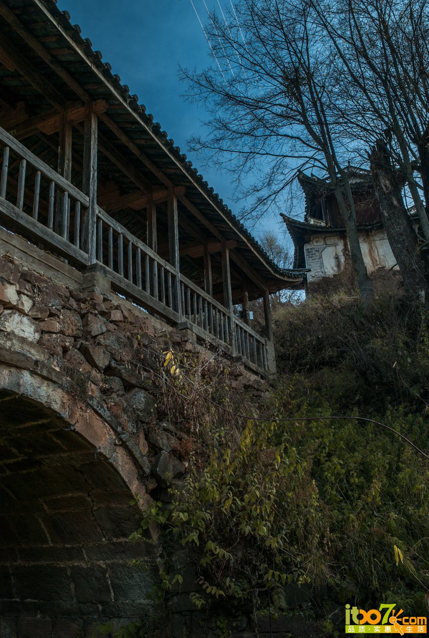 L1069799.jpg