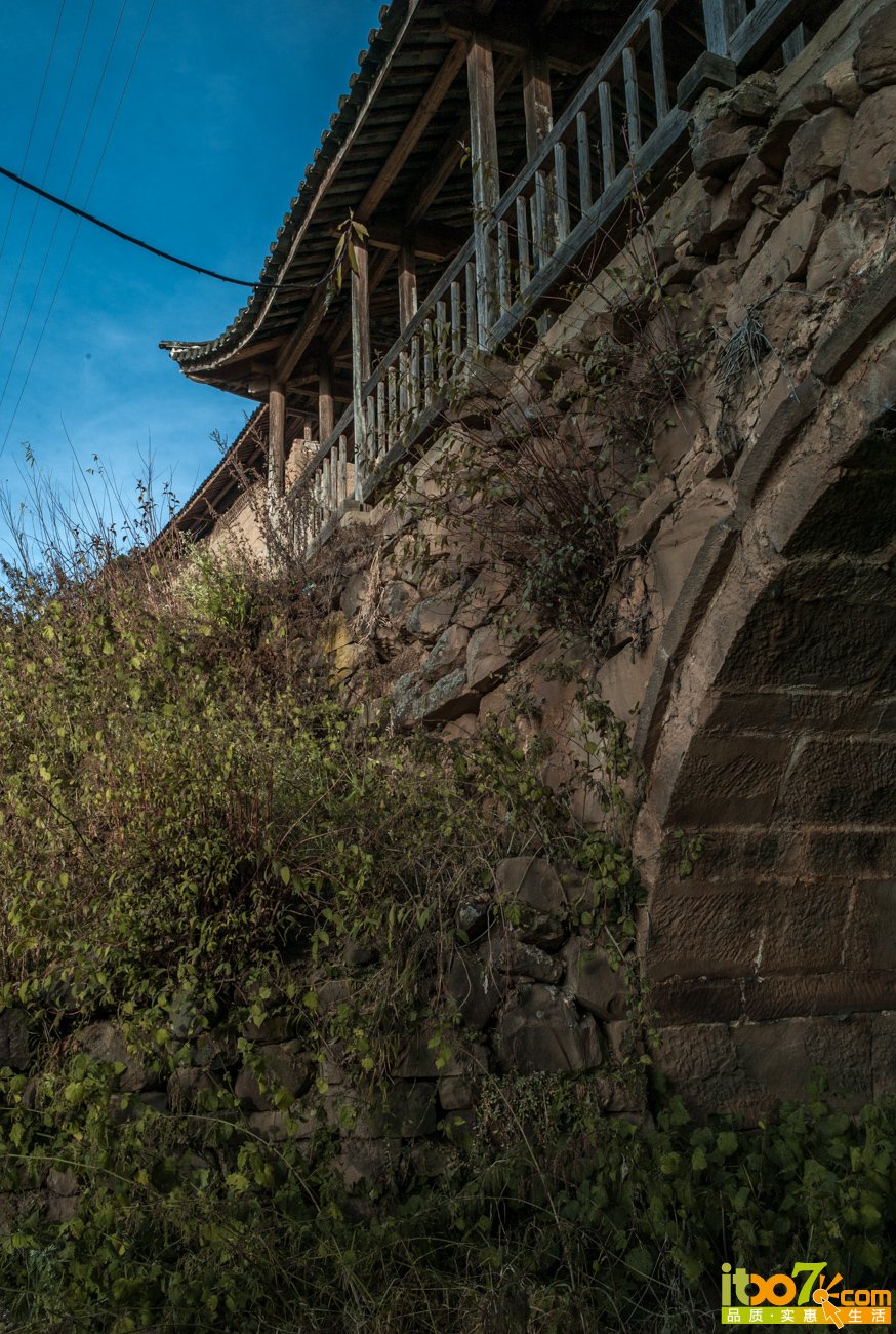 L1069809.jpg