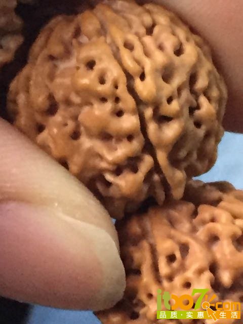 20160124090043_56a4223bac811.jpg